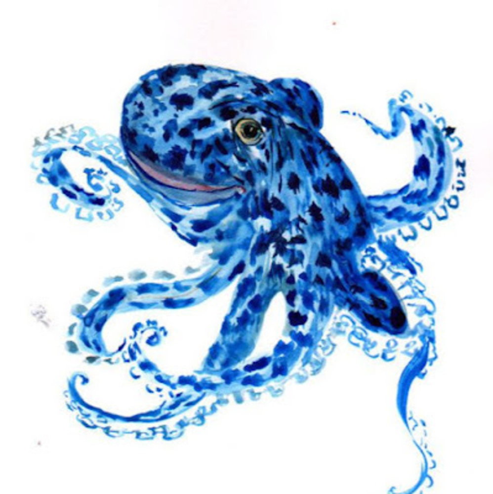 Meet your Posher, Blu - Picture 1 of 1